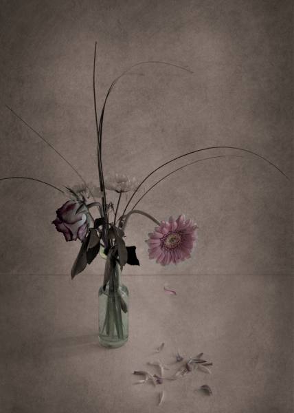 Photograph Michel Bochet Merand Fin Du Spectacle on One Eyeland